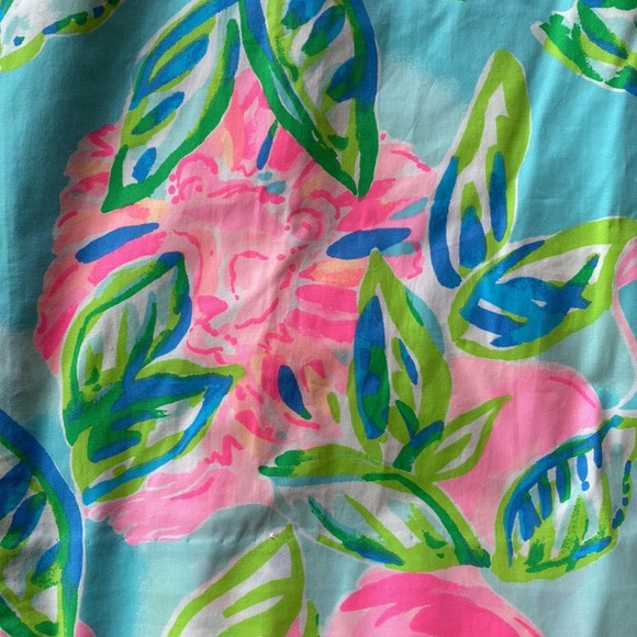 Lilly Pulitzer Dress | Size 0 - Picture 3 of 8